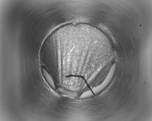 X0000067871184200605041759