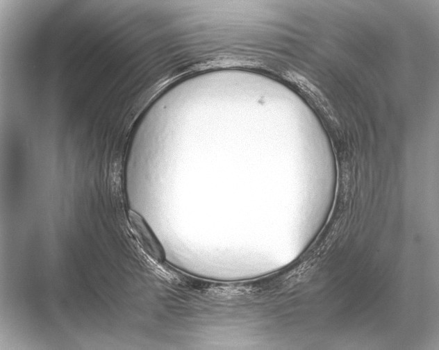 X0000067871185200605041759