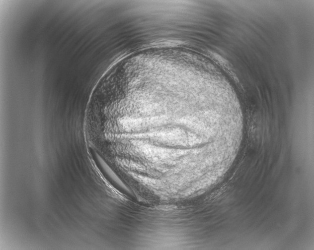 X0000067871186200605041759