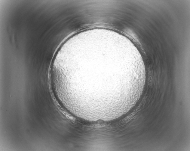 X0000067871190200605041759