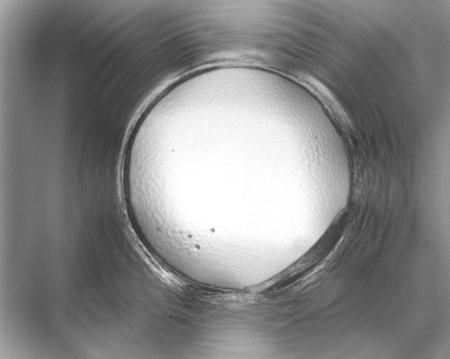 X0000067871196200605041759