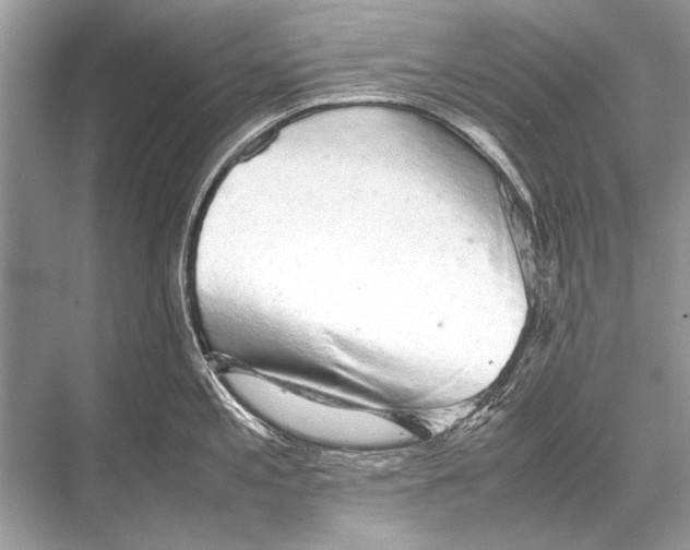 X0000067871197200605041759