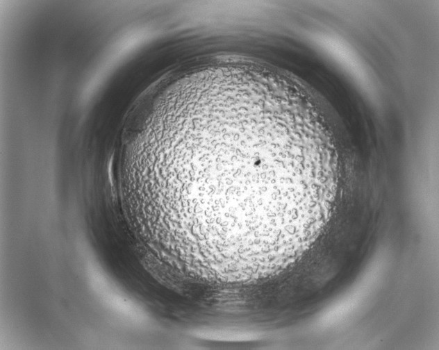 X0000067871198200605041759