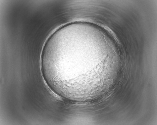 X0000067871199200605041759