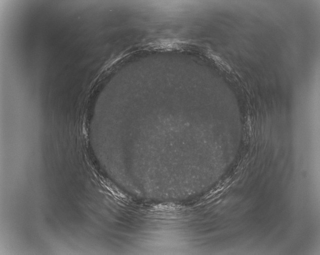 X0000067871206200605041758