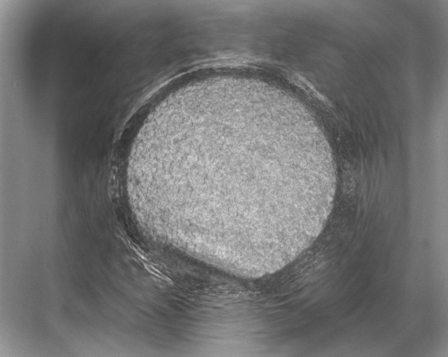 X0000067871208200605041758