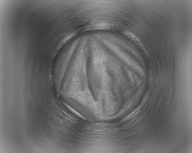 X0000067871210200605041758