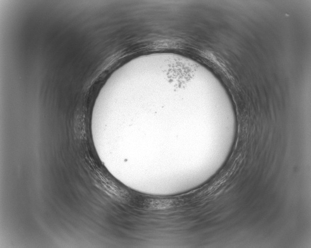 X0000067871211200605041758