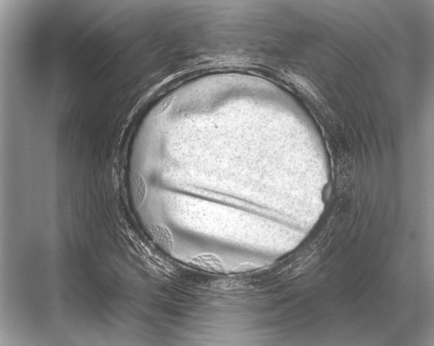 X0000067871212200605041758