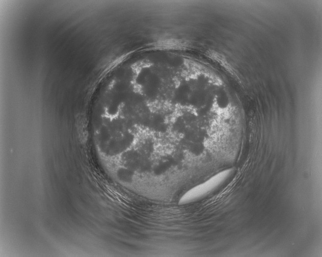 X0000067871213200605041758