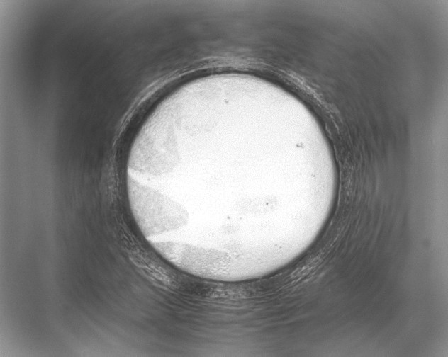 X0000067871215200605041758