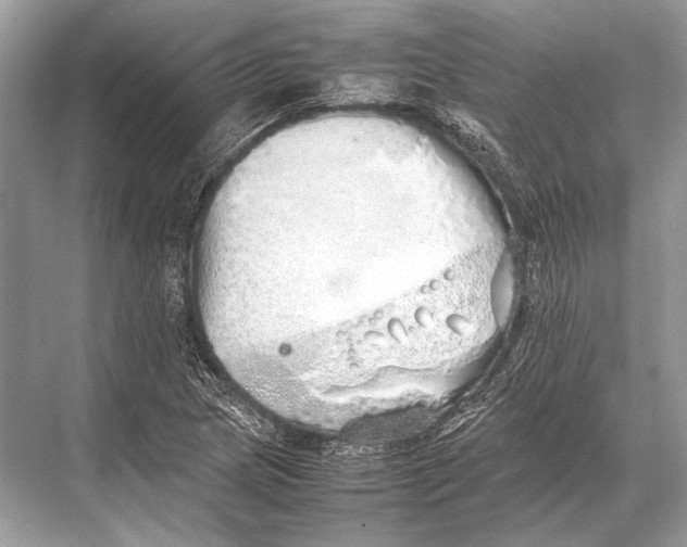 X0000067871217200605041758