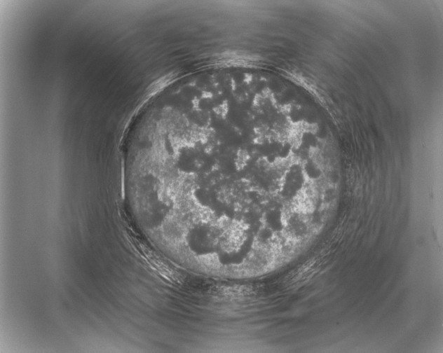 X0000067871219200605041758