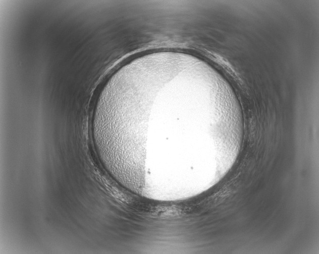 X0000067871220200605041758