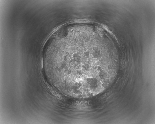 X0000067871221200605041758