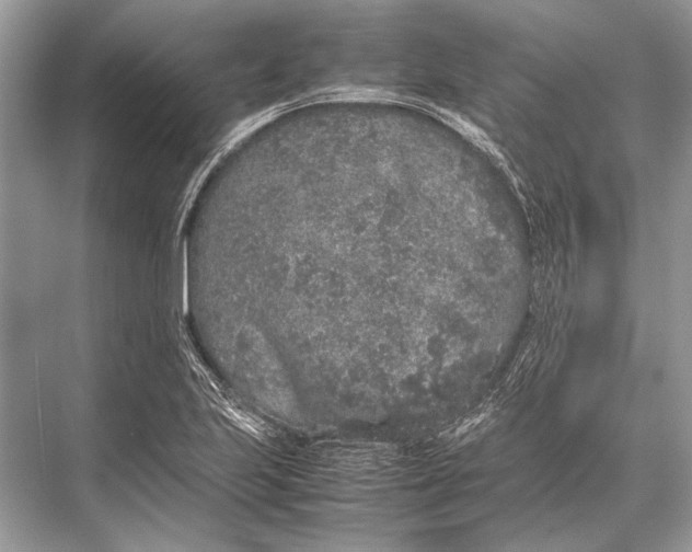 X0000067871223200605041758