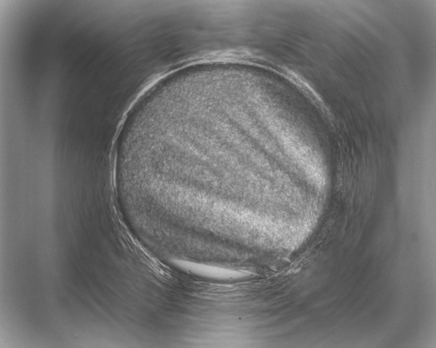 X0000067871224200605041758