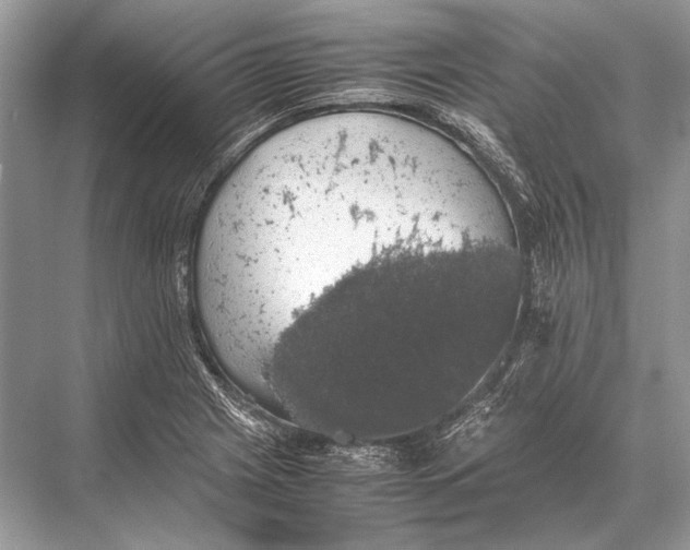 X0000067871225200605041758