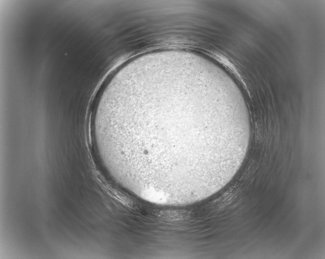 X0000067871227200605041758