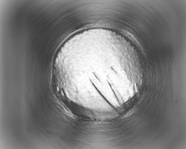 X0000067871228200605041758