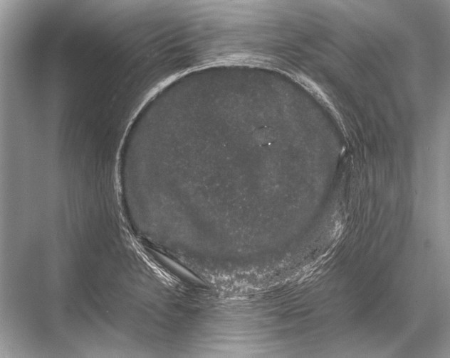 X0000067871230200605041758