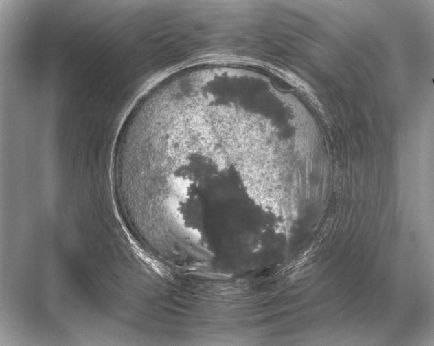 X0000067871231200605041759