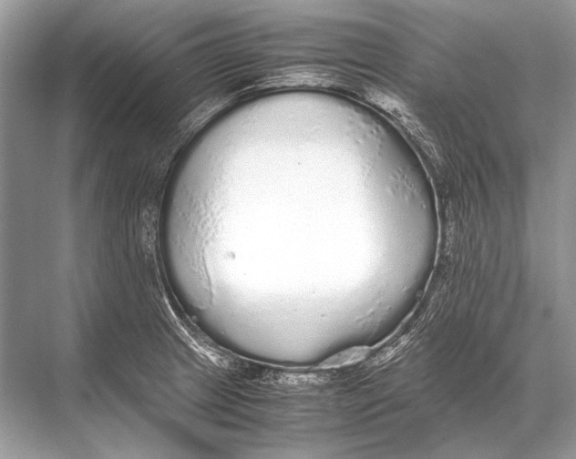 X0000067871233200605041759