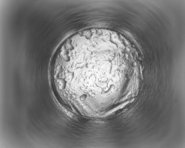 X0000067871235200605041759