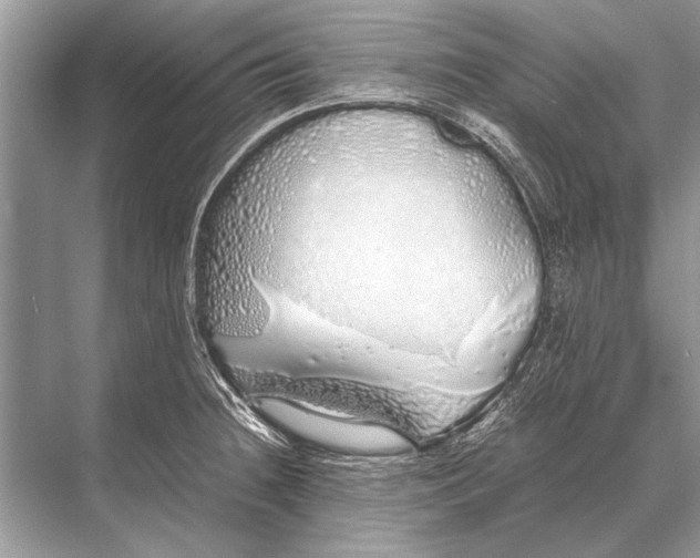 X0000067871236200605041759