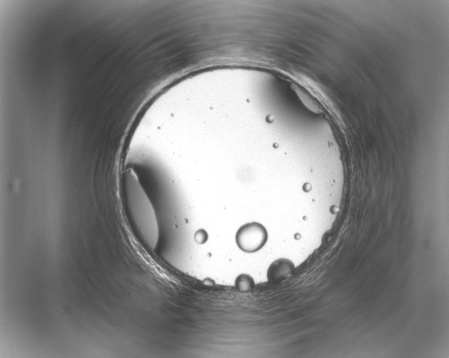 X0000067871238200605041759