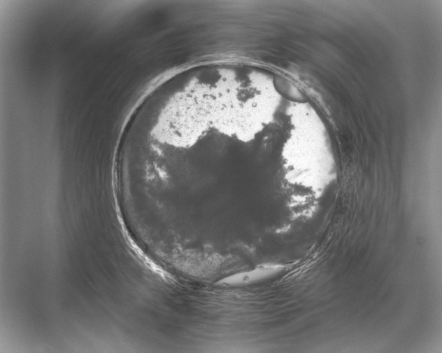 X0000067871239200605041759