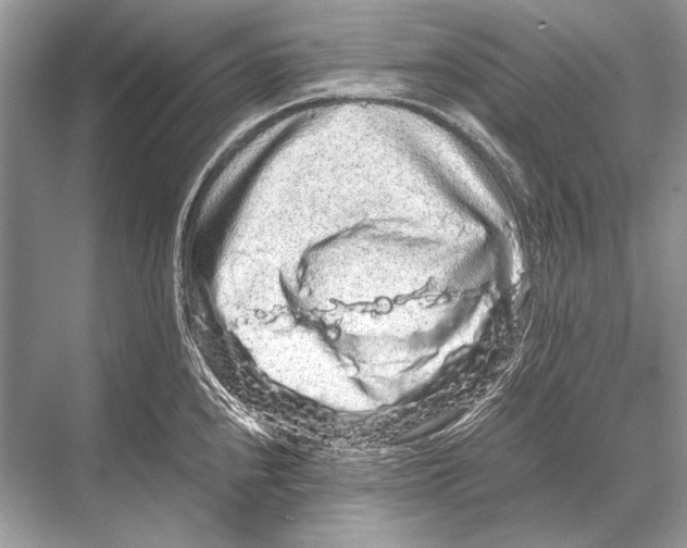 X0000067871240200605041759