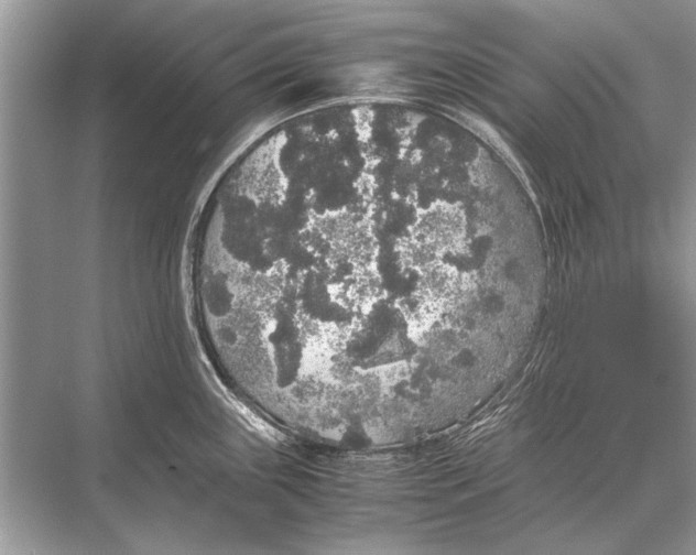 X0000067871243200605041759