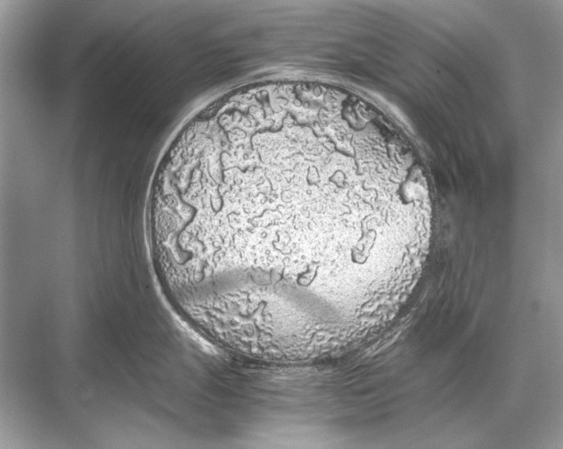 X0000067871247200605041759