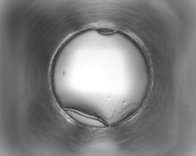 X0000067871248200605041759