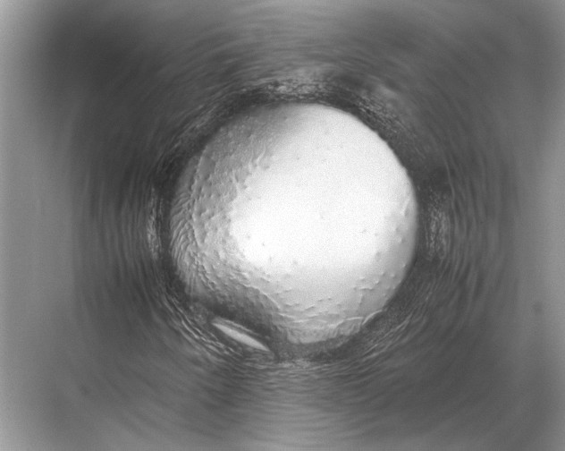 X0000067871250200605041758