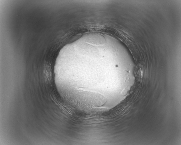 X0000067871252200605041758