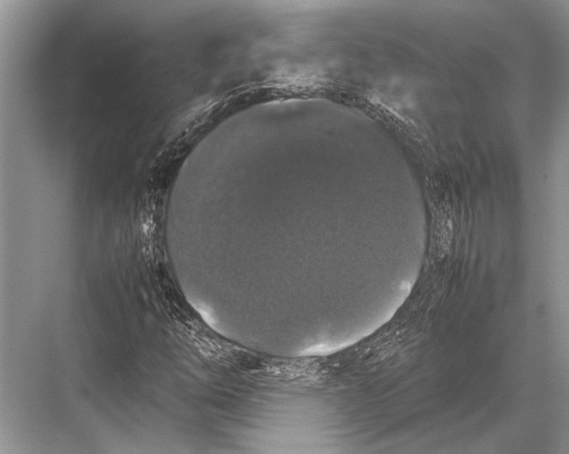 X0000067871254200605041758