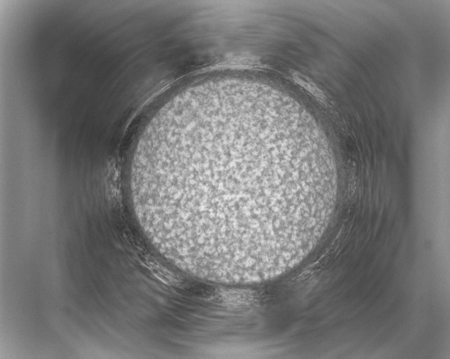 X0000067871258200605041758