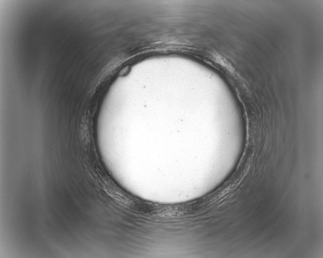 X0000067871259200605041758