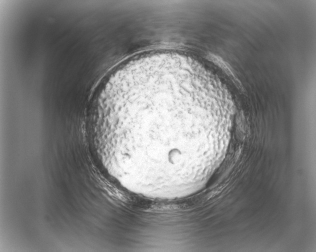 X0000067871260200605041758