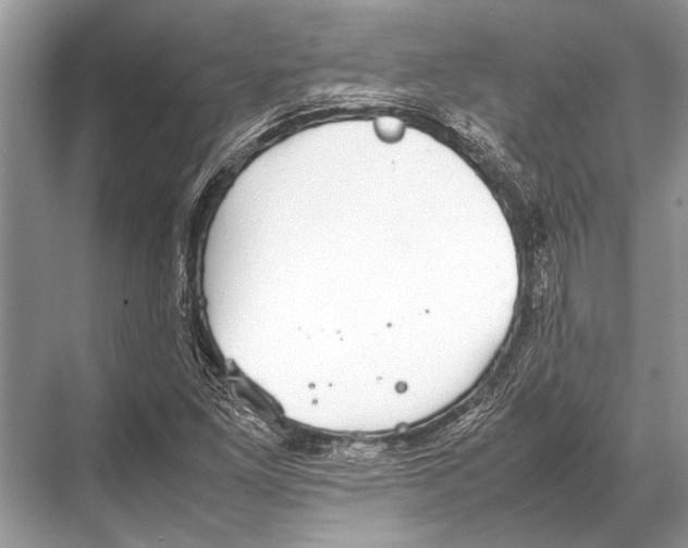 X0000067871261200605041758