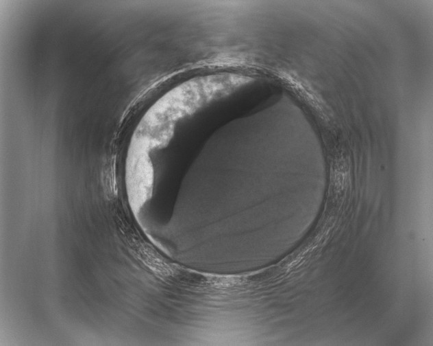 X0000067871262200605041758