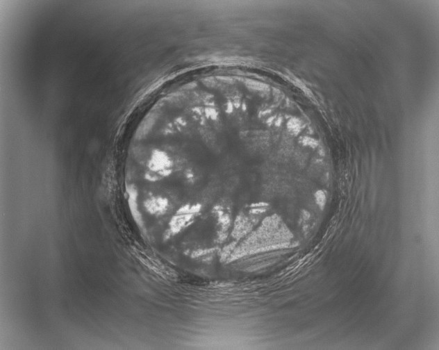 X0000067871263200605041758