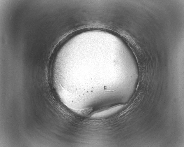 X0000067871264200605041758