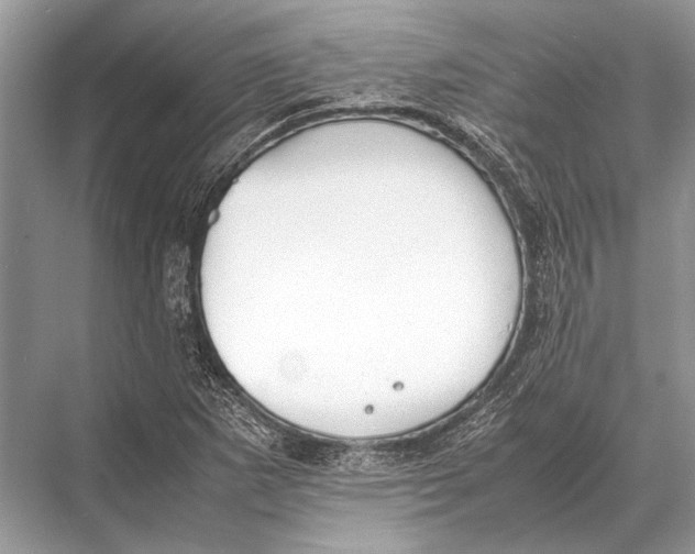 X0000067871265200605041758