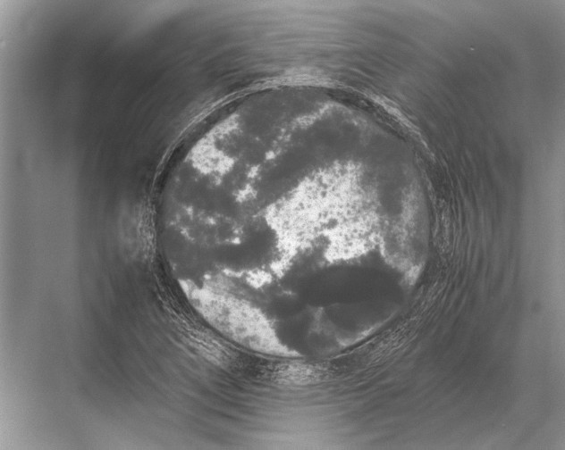 X0000067871266200605041758