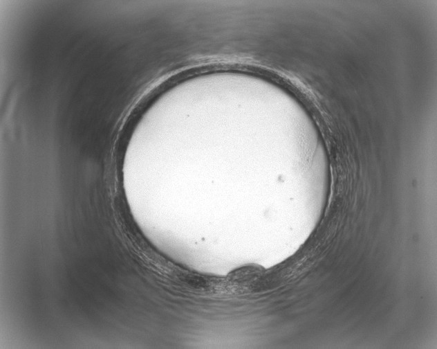 X0000067871271200605041758