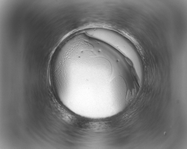 X0000067871272200605041758