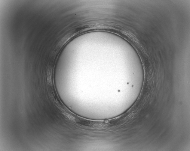 X0000067871273200605041758